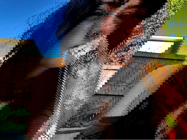 _animechika_ _animechika_ archive image