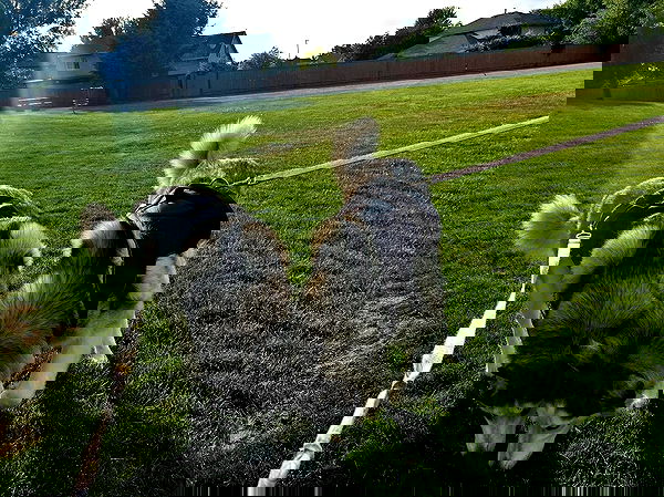 _animechika_ _animechika_ archive image