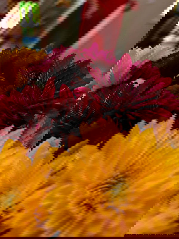 _animechika_ _animechika_ archive image