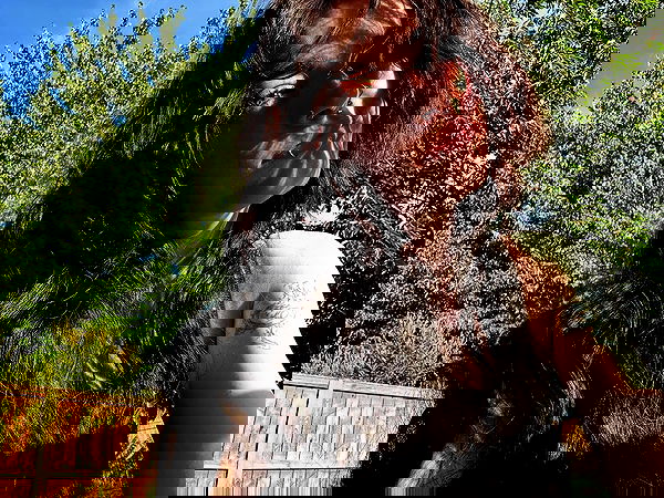 _animechika_ _animechika_ archive image