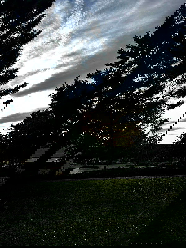 _animechika_ _animechika_ archive image