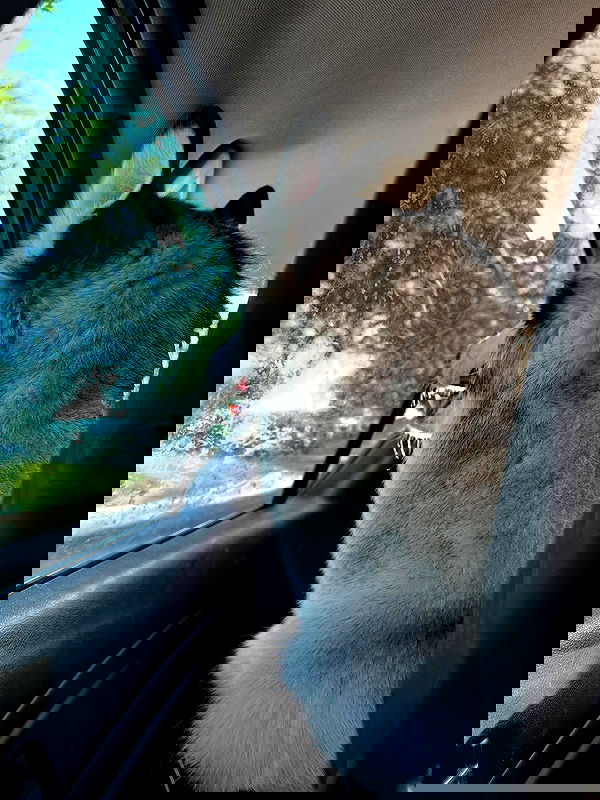 _animechika_ _animechika_ archive image