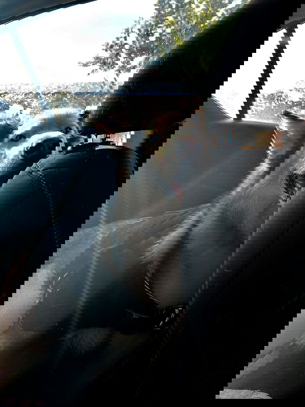 _animechika_ _animechika_ archive image