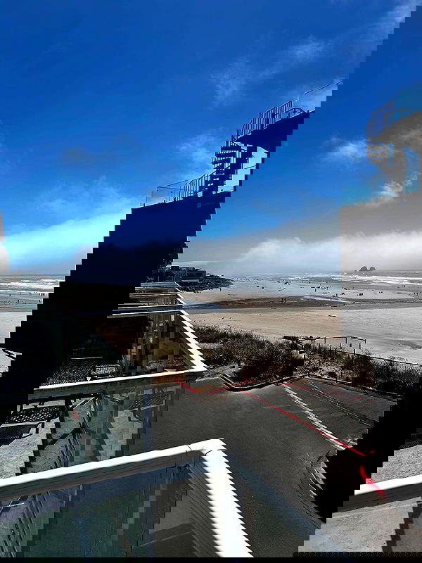 _animechika_ _animechika_ archive image