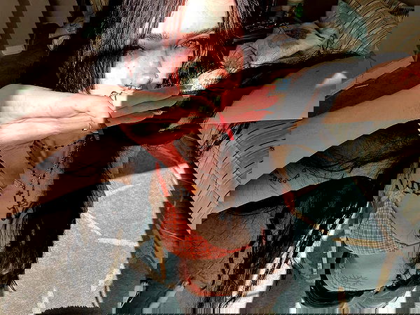 _animechika_ _animechika_ archive image