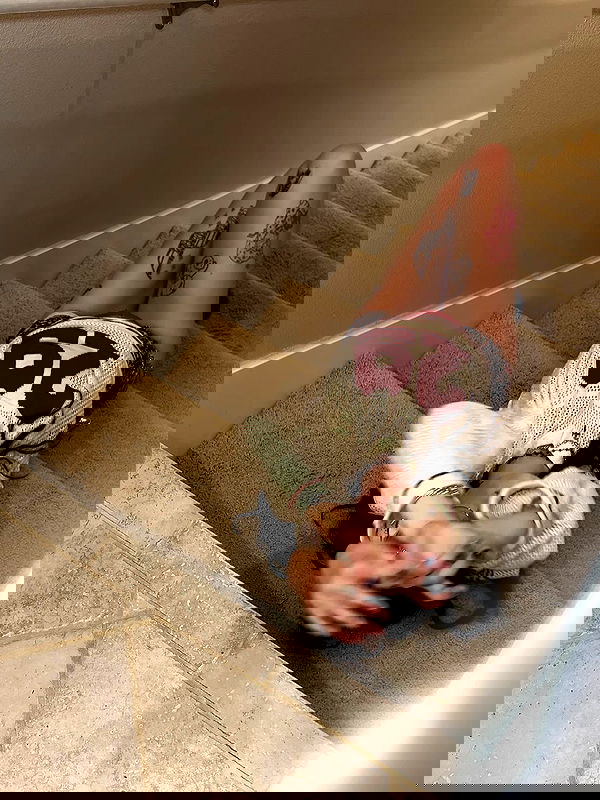 _animechika_ _animechika_ archive image