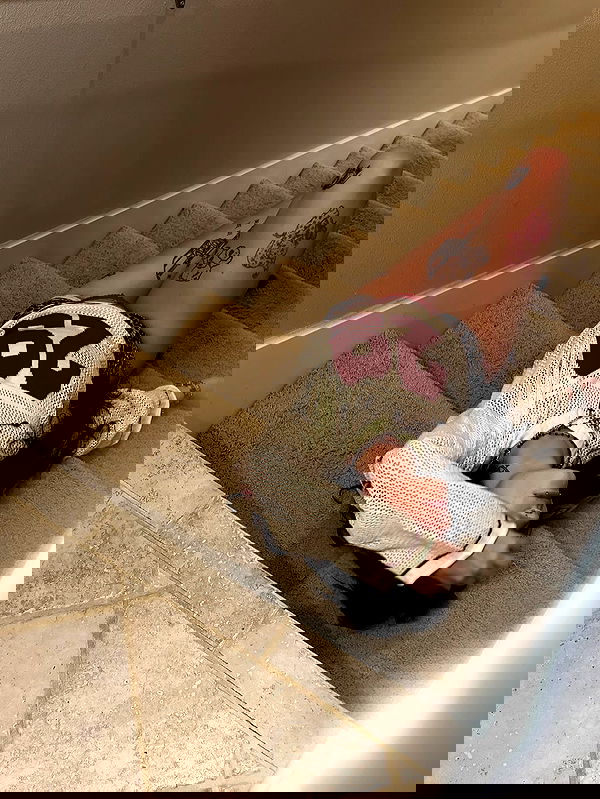 _animechika_ _animechika_ archive image