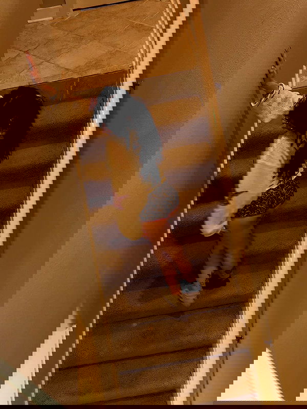 _animechika_ _animechika_ archive image