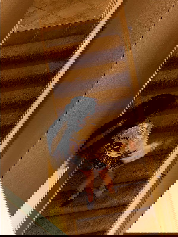 _animechika_ _animechika_ archive image