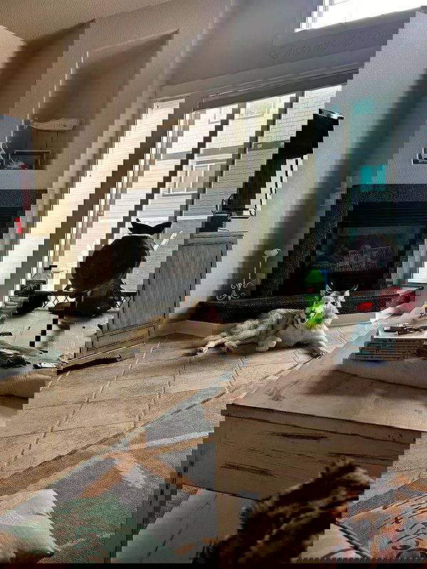 _animechika_ _animechika_ archive image