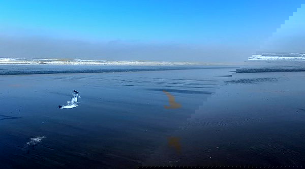 _animechika_ _animechika_ archive image