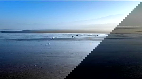 _animechika_ _animechika_ archive image