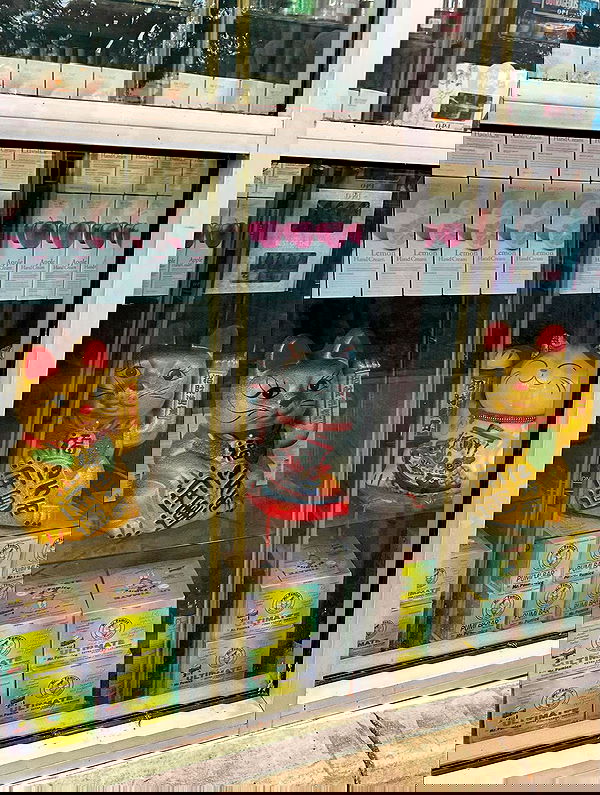 _animechika_ _animechika_ archive image