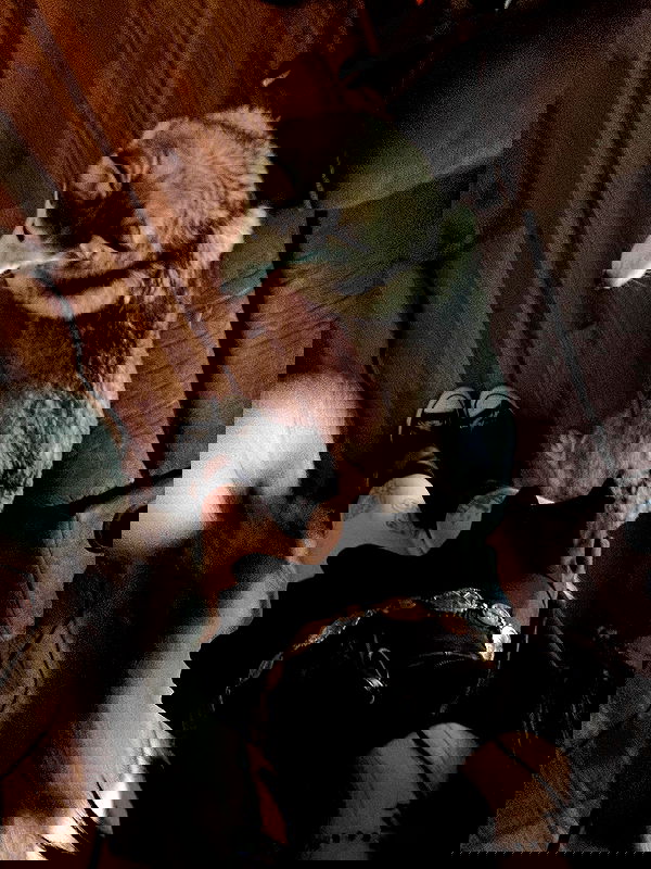 _animechika_ _animechika_ archive image