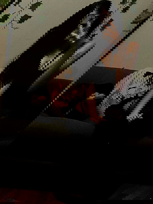 _animechika_ _animechika_ archive image