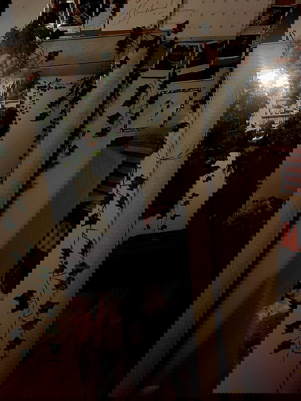 _animechika_ _animechika_ archive image