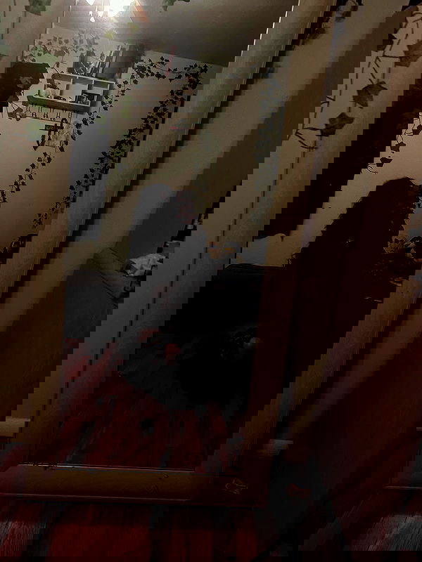 _animechika_ _animechika_ archive image