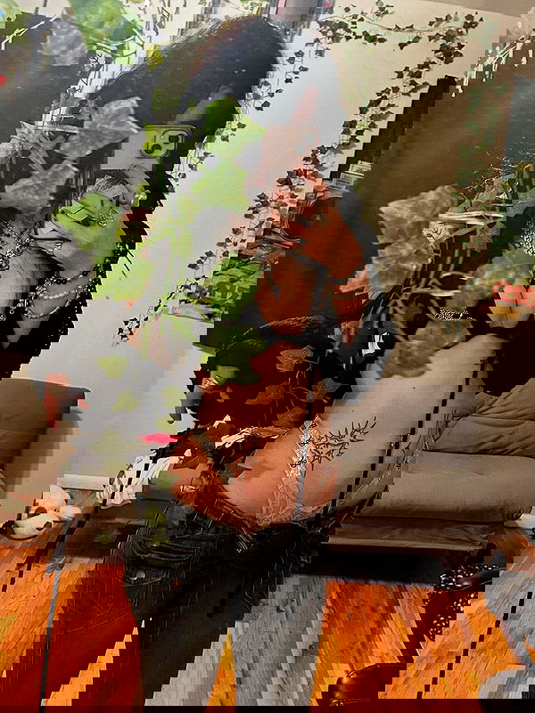 _animechika_ _animechika_ archive image