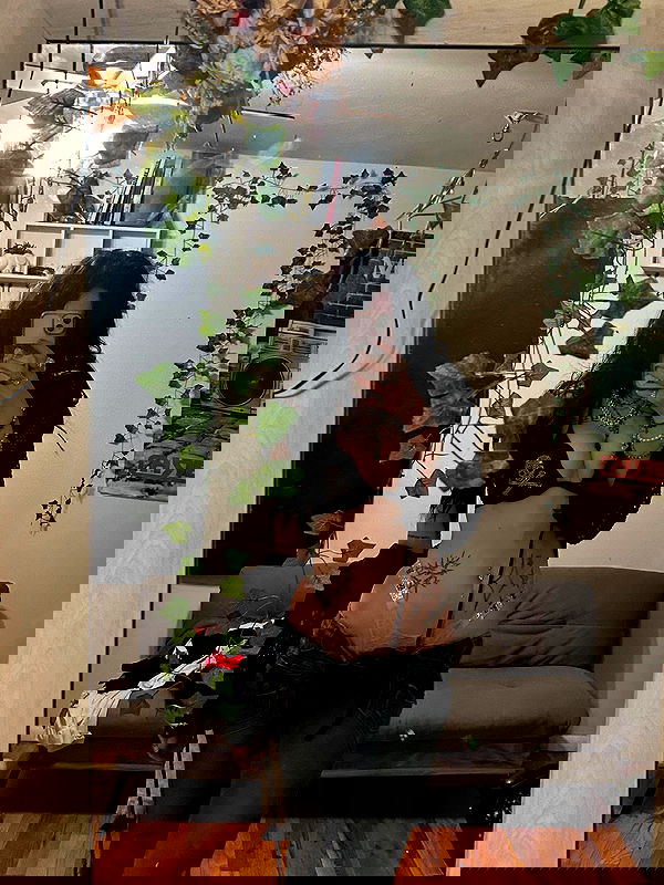 _animechika_ _animechika_ archive image