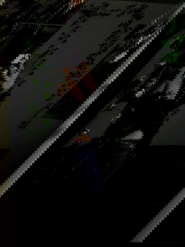 _animechika_ _animechika_ archive image