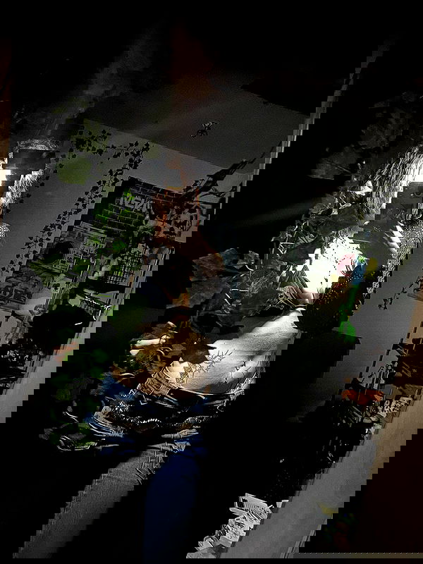 _animechika_ _animechika_ archive image