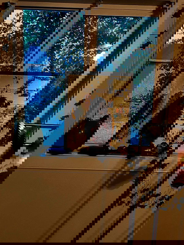 _animechika_ _animechika_ archive image