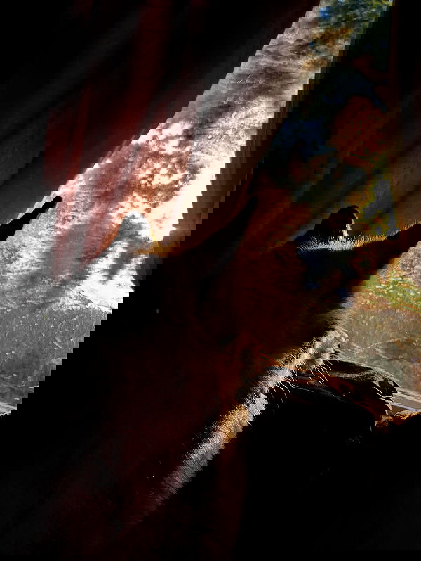 _animechika_ _animechika_ archive image