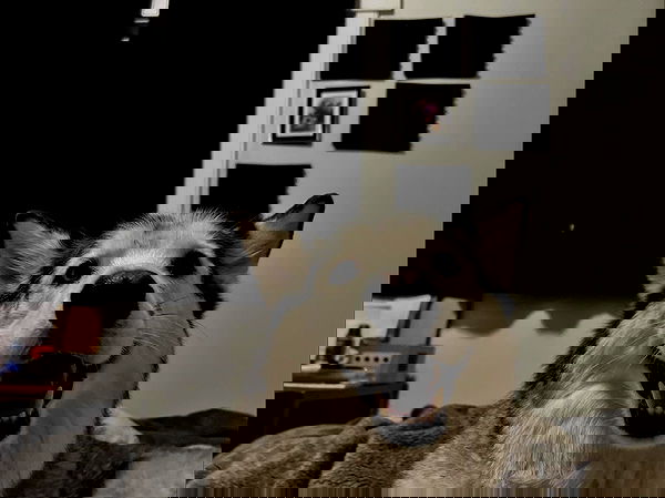 _animechika_ _animechika_ archive image