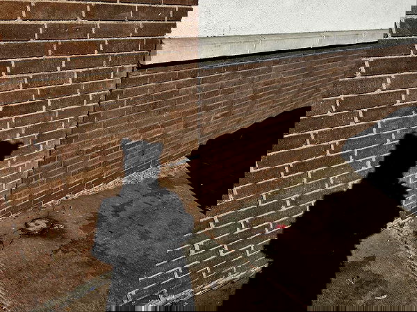 _animechika_ _animechika_ archive image