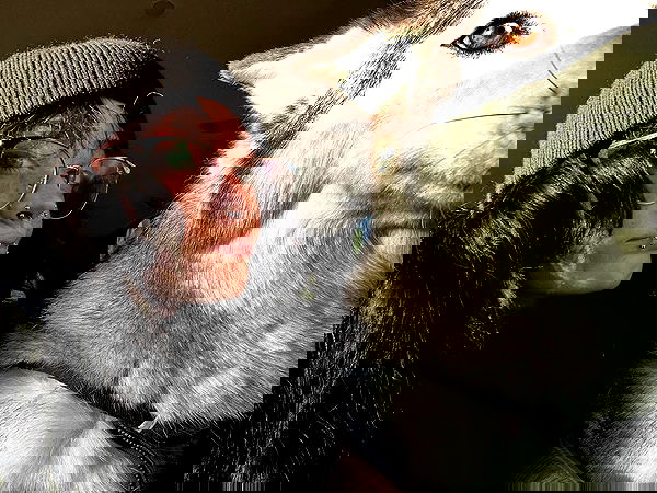 _animechika_ _animechika_ archive image