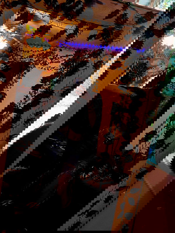 _animechika_ _animechika_ archive image