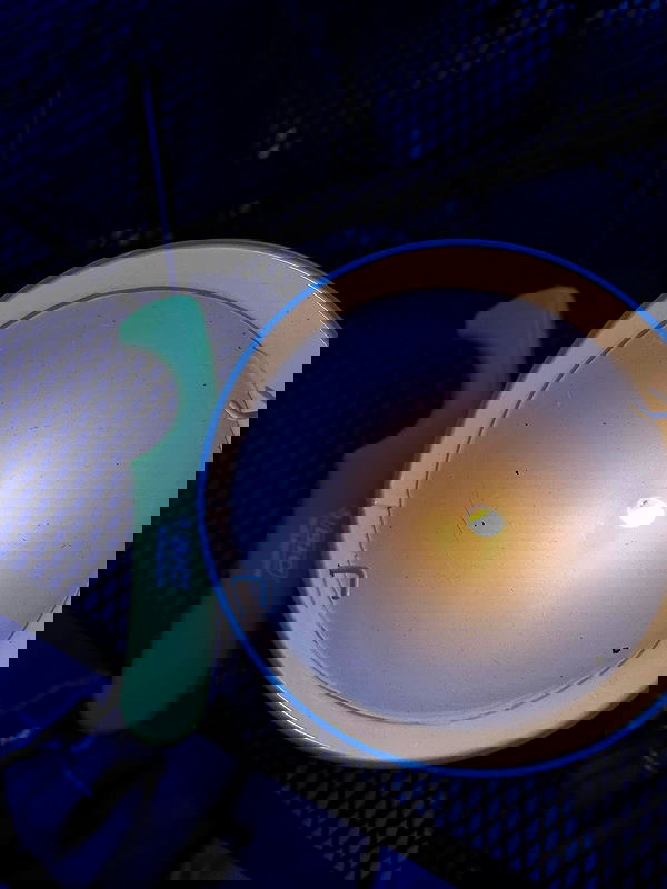 _animechika_ _animechika_ archive image