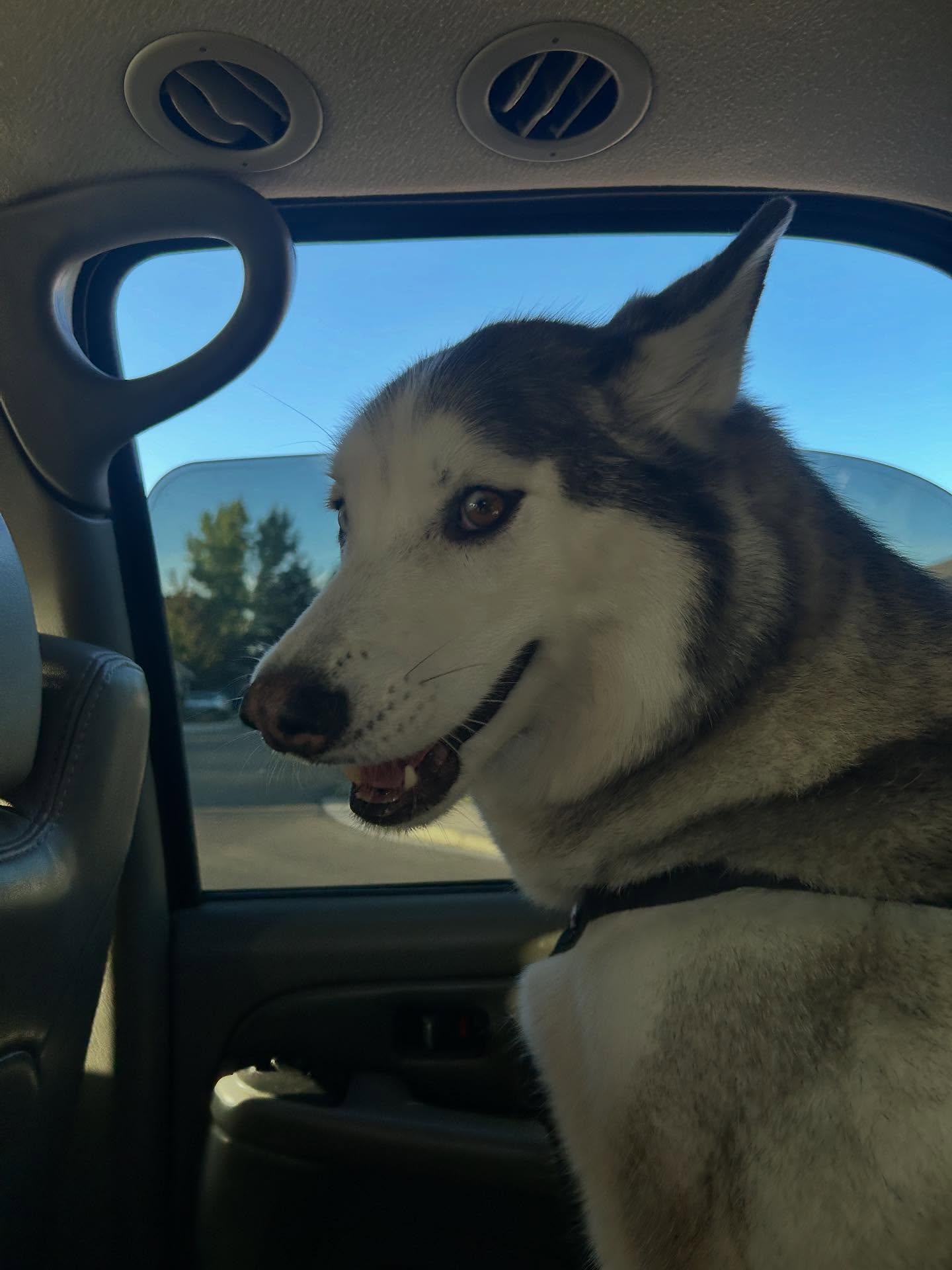 _animechika_ instagram image archive image