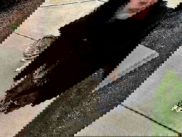 _animechika_ image ~ Altpins