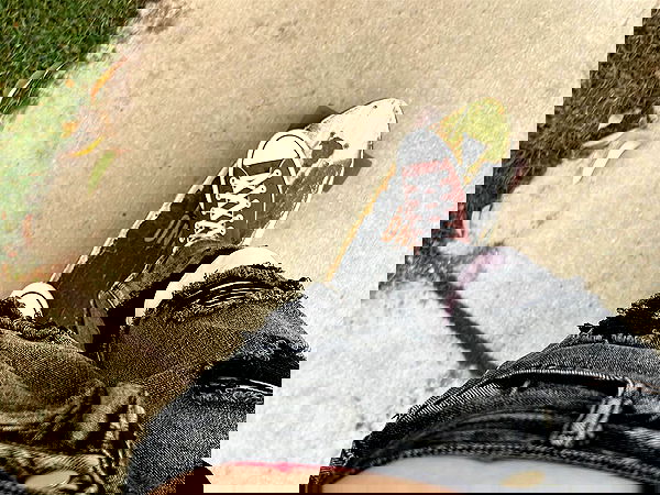 _animechika_ image ~ Altpins