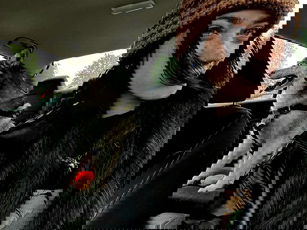 _animechika_ image ~ Altpins