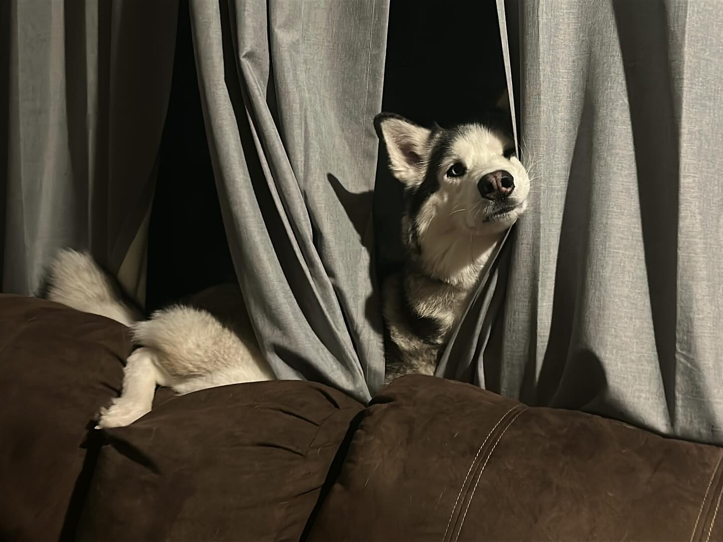 _animechika_ instagram image archive image