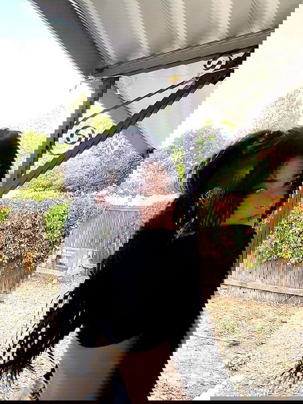 _animechika_ image ~ Altpins