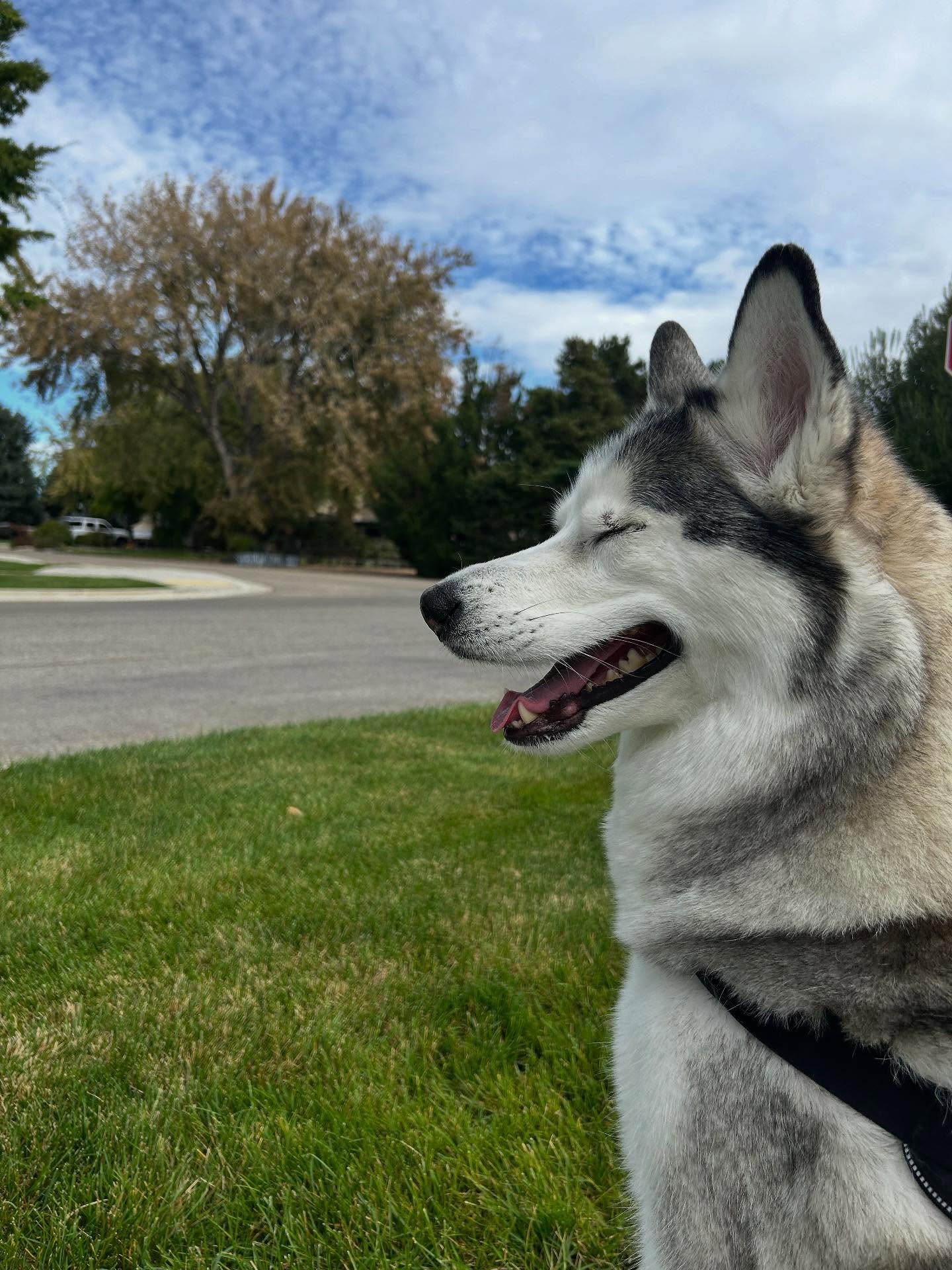 _animechika_ instagram image archive image