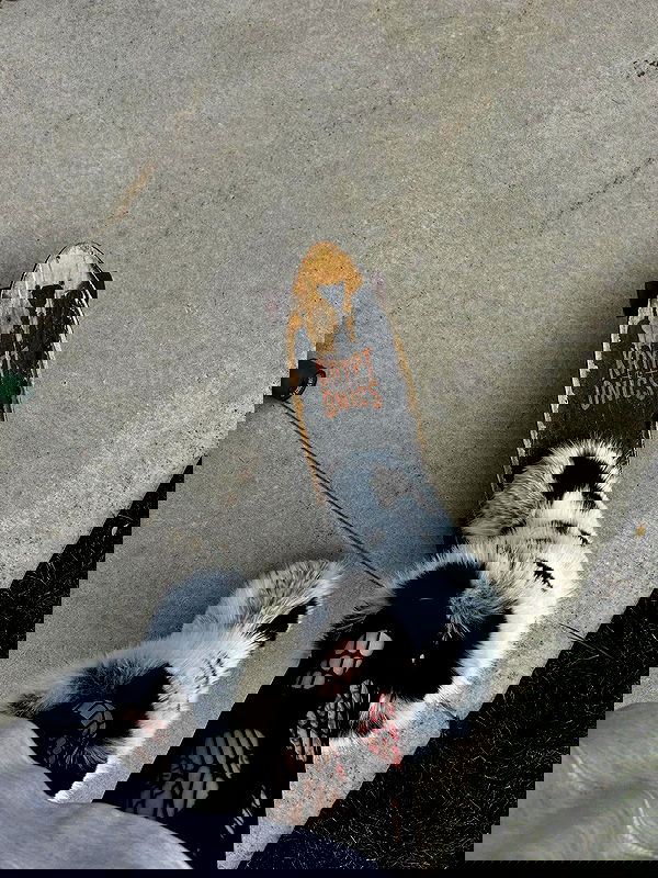 _animechika_ image ~ Altpins