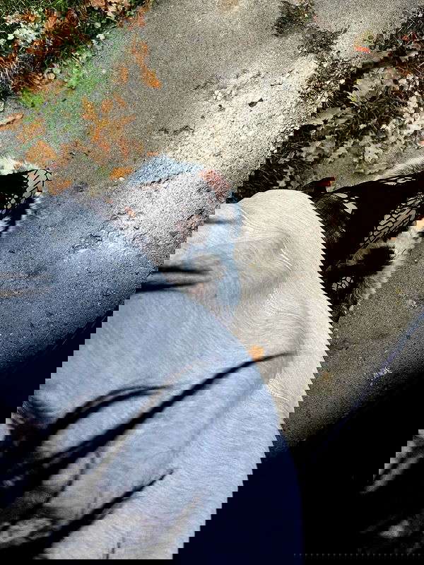 _animechika_ image ~ Altpins