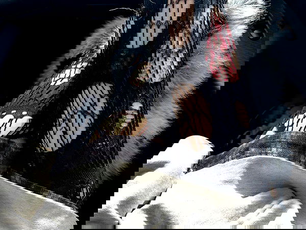 _animechika_ image ~ Altpins