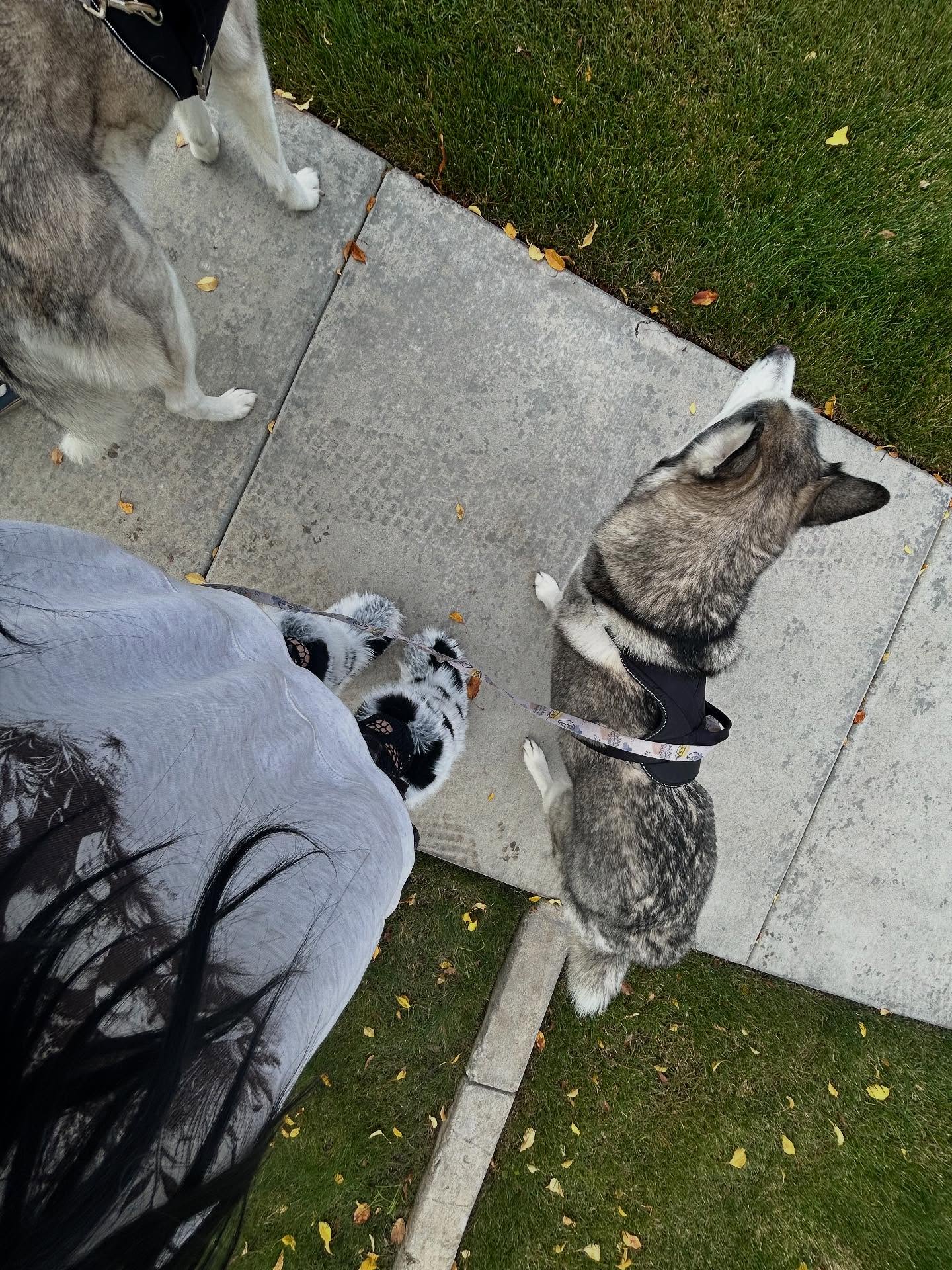 _animechika_ instagram image archive image