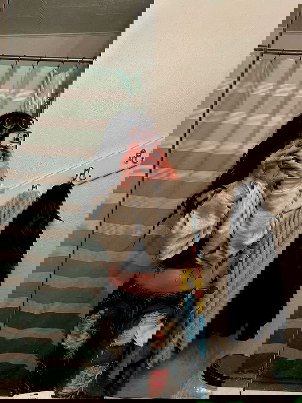 _animechika_ _animechika_ archive image