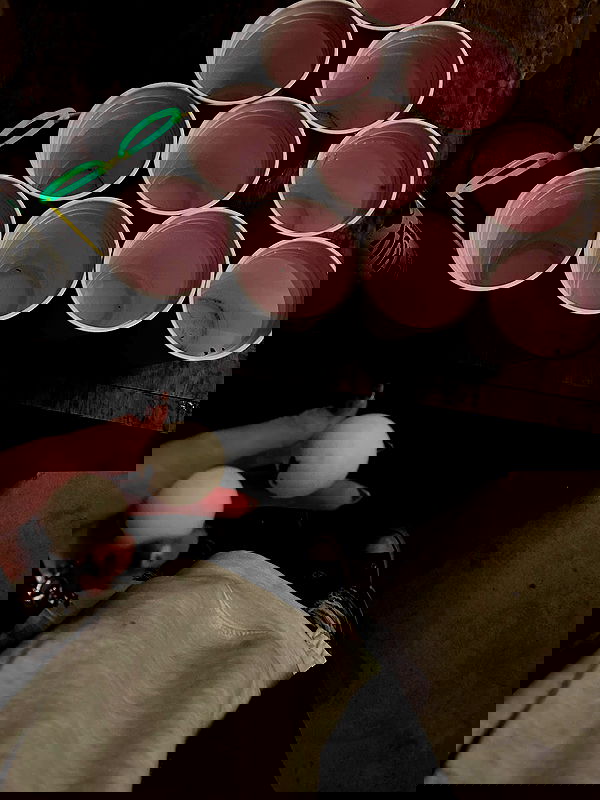 _animechika_ _animechika_ archive image