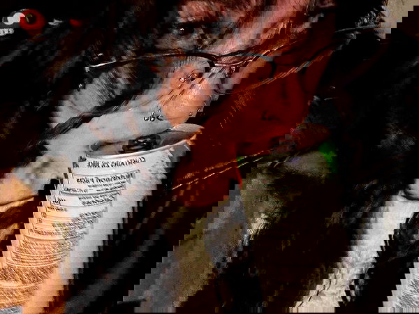 _animechika_ _animechika_ archive image