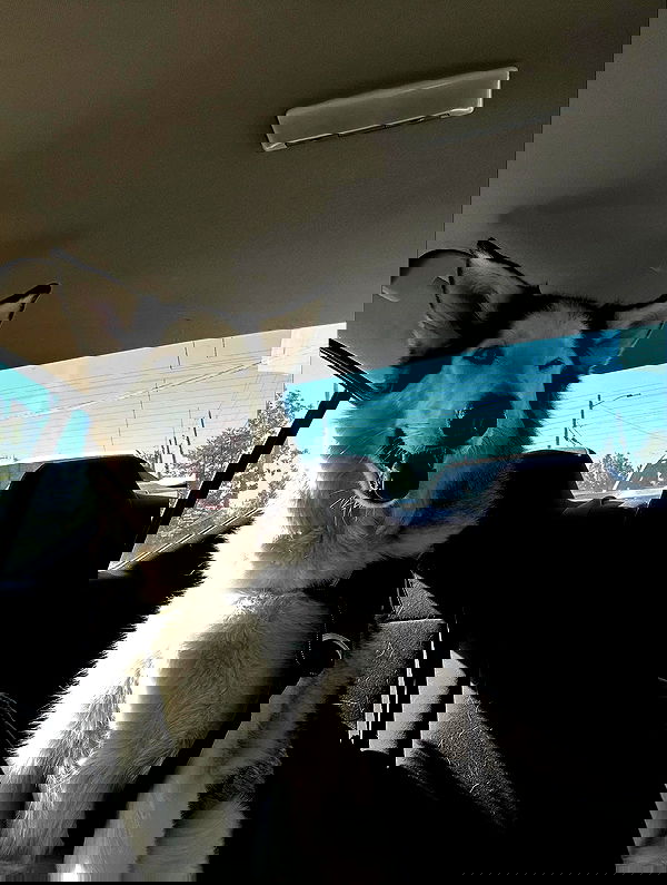 _animechika_ _animechika_ archive image