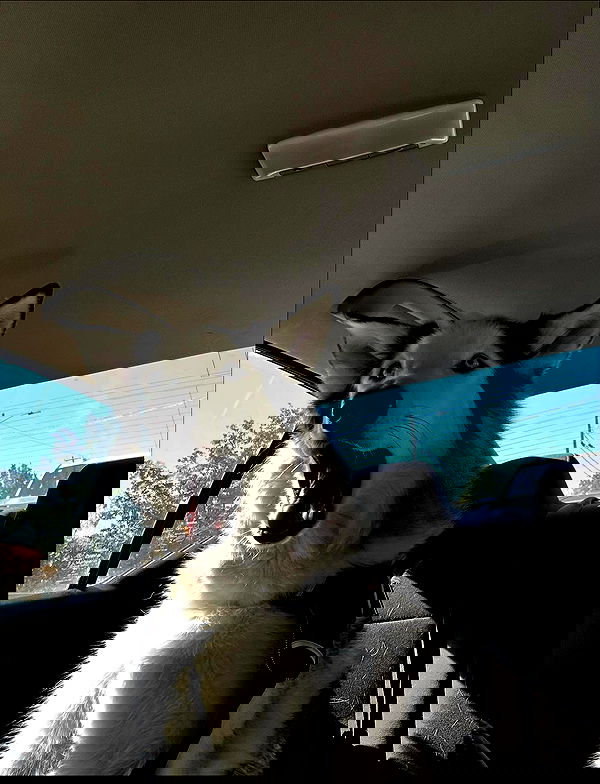 _animechika_ _animechika_ archive image