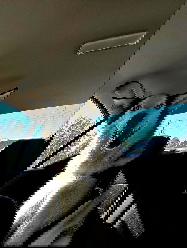 _animechika_ _animechika_ archive image