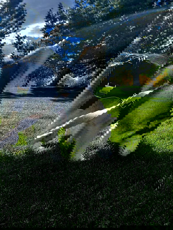 _animechika_ _animechika_ archive image